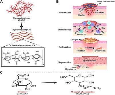 A review of the current state of natural biomaterials in wound healing applications